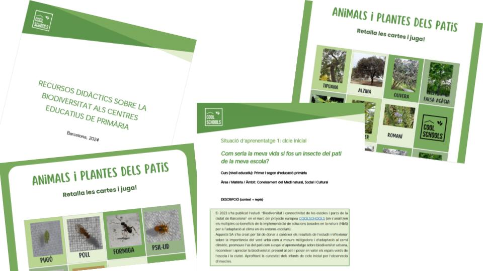 Recursos didàctics sobre la biodiversitat als centres educatius